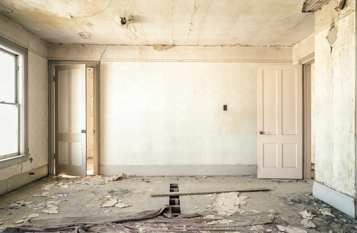 Waste disposal crew managing a cleanout project in Frisco